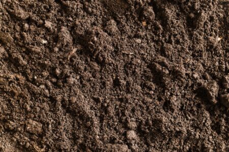 bg-soil