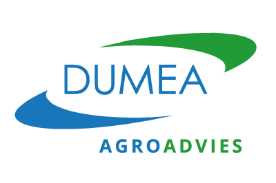 dumea
