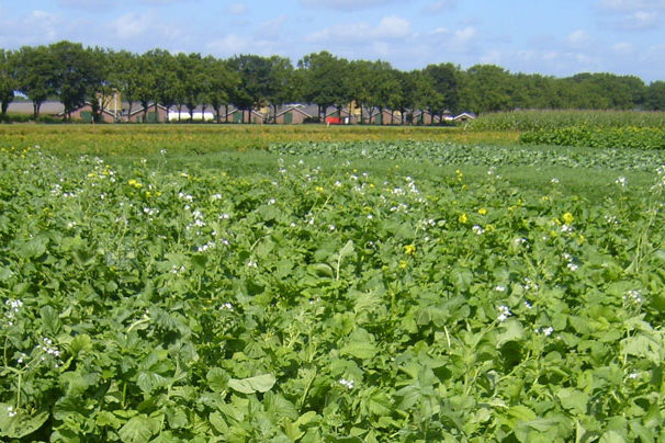 demobedrijf_de-kleijberg