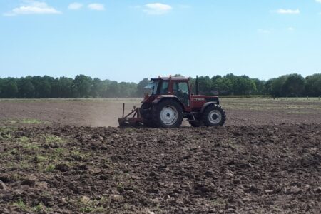 boomteelt lostrekken ondergrond 3tand tbv mulch mest EvA 20200514_155140 (Middel)