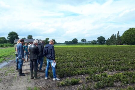 20200701_161656 (Groot)