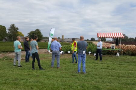20200909_143807 (Groot)